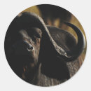 Search for big five stickers Nature