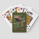 Search for panda playing cards Nature