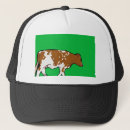 Search for dairy cow hats Nature