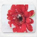 Search for gerbera mouse mats Floral