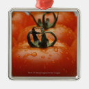 Search for tomato christmas tree decorations Horizontal