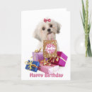 Search for maltese birthday cards Sweet