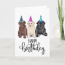 Search for chocolate labrador cards Black lab