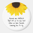 Search for angel magnets Quote