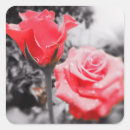 Search for romantic garden wedding stickers Rose