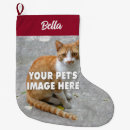 Search for dad christmas stockings For pets