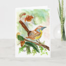 Search for wrens cards Nature