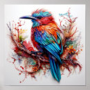 Search for plumage posters Vibrant