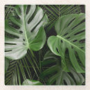 Search for monstera coasters Tree