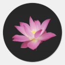 Search for black lotus stickers Flower