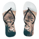 Search for cow flipflops Cattle