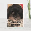 Search for pups cards Funny