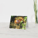 Search for irish luck cards St patrick's day