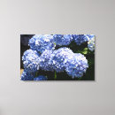 Search for blue hydrangea canvas prints Garden