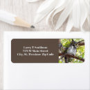 Search for birds on a branch return address labels Animals
