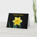 Search for daffodil cards Happy