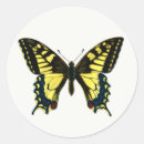 Search for papilio stickers Butterflies