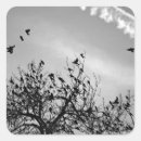 Search for blackbird stickers Wildlife