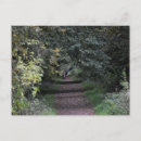 Search for light wood postcards Trees