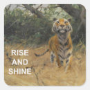 Search for vintage wildlife stickers Tiger