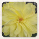 Search for dahlia flower coasters Nature