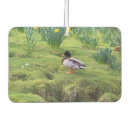 Search for duck car air fresheners Wildlife