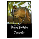 Search for backyard gift wrap Cute