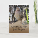 Search for pheasant cards Wildlife