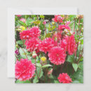 Search for deep pink cards Flowers