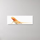 Search for dragon scale art Reptile