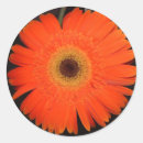 Search for gerber stickers Flower
