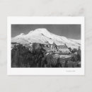 Search for timberline postcards Collection