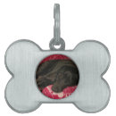 Search for mutt pet supplies Puppy