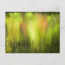 Search for mirroring postcards Reflection