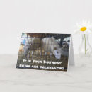 Search for comic sheep Funny