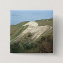 Search for wiltshire badges Photograph