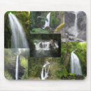 Search for northwest mouse mats Columbia