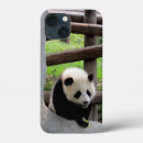 Search for baby panda iphone cases Nature