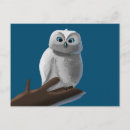 Search for owl on a branch postcards Cute