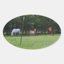 Search for equine stickers Field