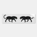 Search for panthers bumper stickers Leopard
