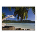 Search for mouche Beach