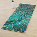 Search for shimmering feathers Teal