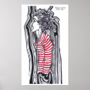 Search for dreads posters Dreadlocks