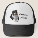 Search for guardian hats Dog
