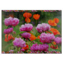 Search for orange chopping boards Garden