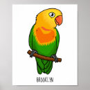 Search for lovebird posters Parrot