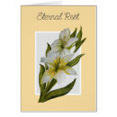 Search for mass sympathy cards Catholic