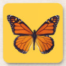 Search for butterfly coasters Moth