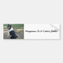 Search for collie dog bumper stickers Lassie